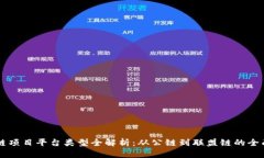 区块链项目平台类型全解析：从公链到联盟链的