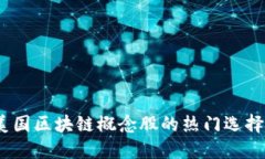 深入探讨：美国区块链概念股的热门选择与未来