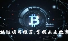 当前最火热的区块链项目推荐：掌握未来数字货