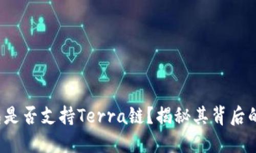 深入探讨：TP钱包是否支持Terra链？揭秘其背后的秘密与未来潜力