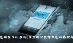 TP钱包删除了还在吗？深度探讨数字钱包的存储与