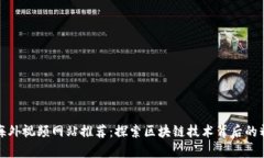 区块链海外视频网站推荐：探索区块链技术背后