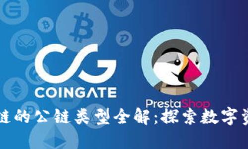 全球区块链的公链类型全解：探索数字资产的未来