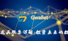 美国区块链龙头股票详解：投资未来的数字资产