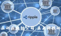 探索郫都区的区块链公司：未来科技的先锋力量
