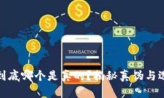 TP钱包到底哪个是真的？揭秘真伪与选择攻略