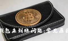 如何解决盛钱包未到账问题：常见原因及解决办