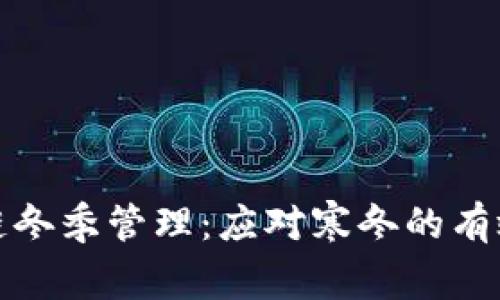区块链冬季管理：应对寒冬的有效措施