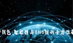 T P钱包：智能链与BNB链的全方位解析