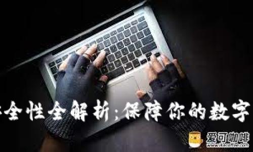 TP钱包安全性全解析：保障你的数字资产安全