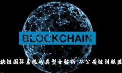区块链国际系统的类型全解析：从公有链到联盟