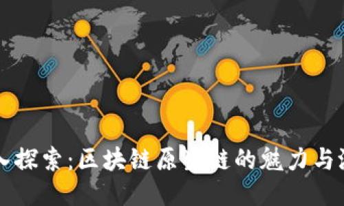 深入探索：区块链原生链的魅力与潜力