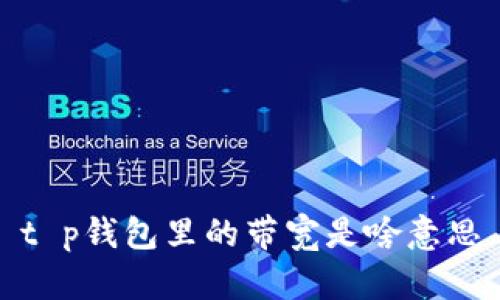 t p钱包里的带宽是啥意思