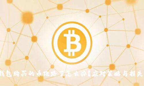 T P钱包购买的币跑路了怎么办？应对策略与损失预防