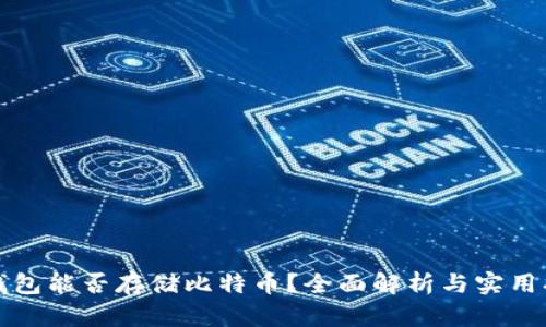 TP钱包能否存储比特币？全面解析与实用指南