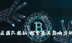 区块链社区团队揭秘：探索最具影响力的项目背