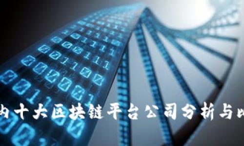 国内十大区块链平台公司分析与比较