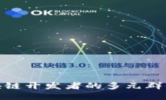 探索区块链开发者的多元群体与趋势