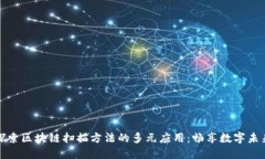 探索区块链扫描方法的多元应用：畅享数字未来