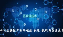 四川区块链产业的崛起：机遇、挑战与未来展望
