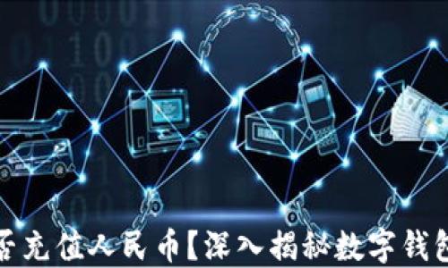 
TP钱包能否充值人民币？深入揭秘数字钱包的新趋势