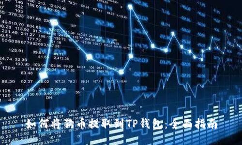 如何将狗币提取到TP钱包：全面指南