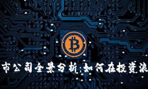 区块链数据上市公司全景分析：如何在投资浪潮中把握机会