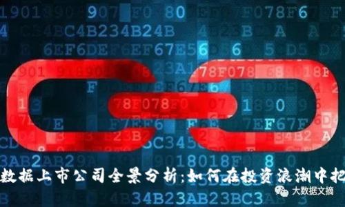 区块链数据上市公司全景分析：如何在投资浪潮中把握机会