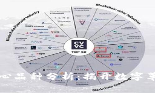 区块链核心品种分析：揭开数字革命的面纱