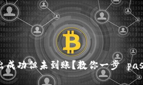 : TP钱包转出成功但未到账？教你一步 paso 成功解决！