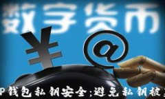 如何保护你的TP钱包私钥安全：避免私钥被篡改的