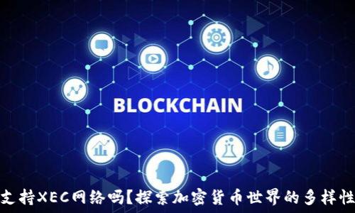   
TP钱包支持XEC网络吗？探索加密货币世界的多样性与机遇