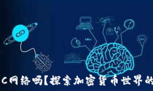   
TP钱包支持XEC网络吗？探索加密货币世界的多样性与机遇