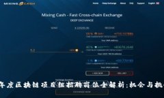 2023年度区块链项目组招聘岗位全解析：机会与挑