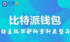 探索区块链系统保护的多种类型与最佳实践