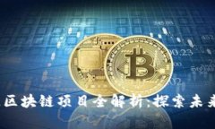 2023年热门开源区块链项目全解析：探索未来数字