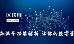 TP钱包的币加池子功能解析：让你的数字资产轻松