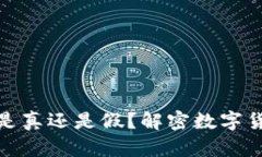 TP钱包中的PI是真还是假？解密数字货币的真实面