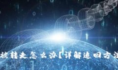TP钱包USDT被转走怎么办？详解追回方法与防范措
