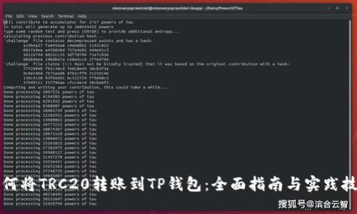 如何将TRC20转账到TP钱包：全面指南与实践技巧