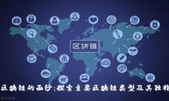 揭开区块链的面纱：探索主要区块链类型及其独