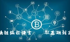 探索派币的区块链编程语言——从基础到高级的