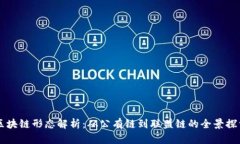 区块链形态解析：从公有链到联盟链的全景探索