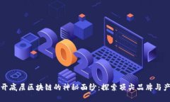 揭开底层区块链的神秘面纱：探索顶尖品牌与产