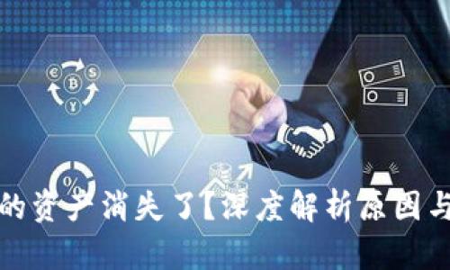 TP钱包里的资产消失了？深度解析原因与解决方案