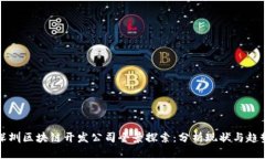 深圳区块链开发公司全景探索：分析现状与趋势