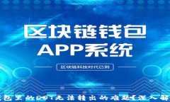 如何解决TP钱包里的DOT无法转出的难题？深入解析