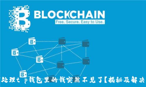   
如何处理t p钱包里的钱突然不见了？揭秘及解决攻略