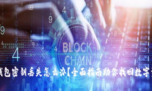 TP钱包密钥丢失怎么办？全面指南助你找回数字资产