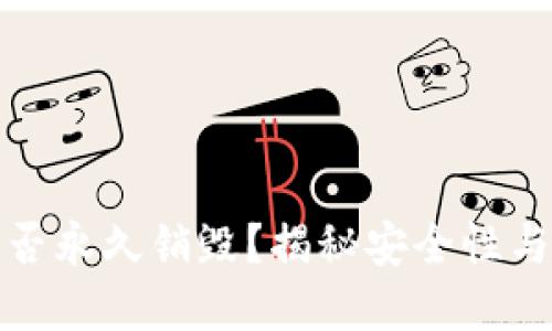 TP钱包能否永久销毁？揭秘安全性与用户选择